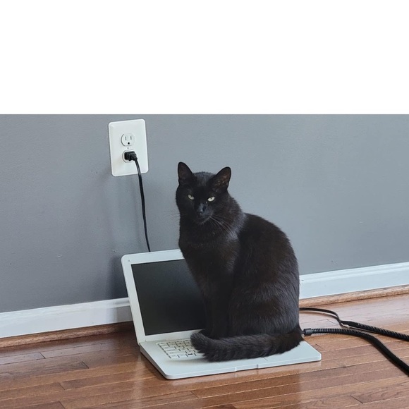 Cat accessories - Picture 5 of 8